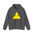 Load image into Gallery viewer, Unisex Heavy Blend™ Hooded Sweatshirt