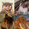 Load image into Gallery viewer, Pet Massager