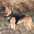 Load image into Gallery viewer, Tactics K9 Chest Harness Vest for Dogs