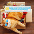 Load image into Gallery viewer, Pet Accessories Cat Glasses
