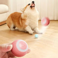 Load image into Gallery viewer, Electric Dogs Ball
