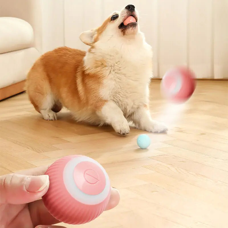 Electric Dogs Ball