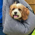 Load image into Gallery viewer, Pet Travel Bed
