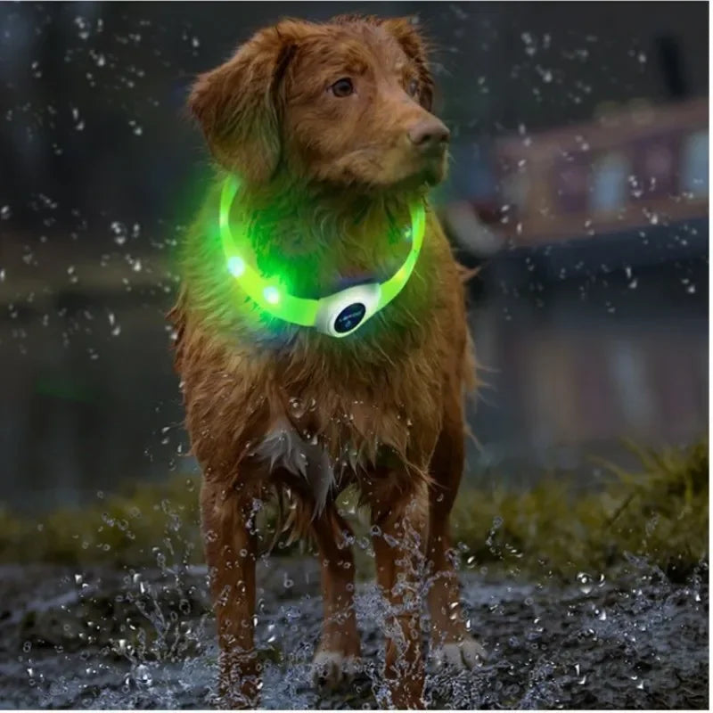 LED Luminous Dog Collar