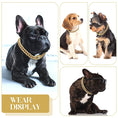 Load image into Gallery viewer, Dog Chain Cuban Collar
