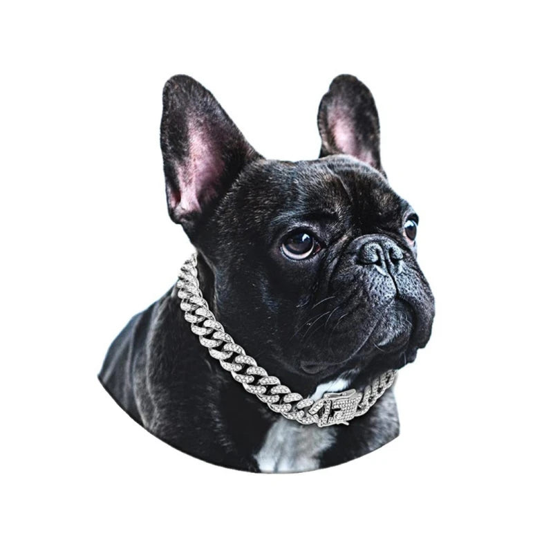 Dog Chain Cuban Collar