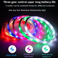 Load image into Gallery viewer, LED Luminous Dog Collar
