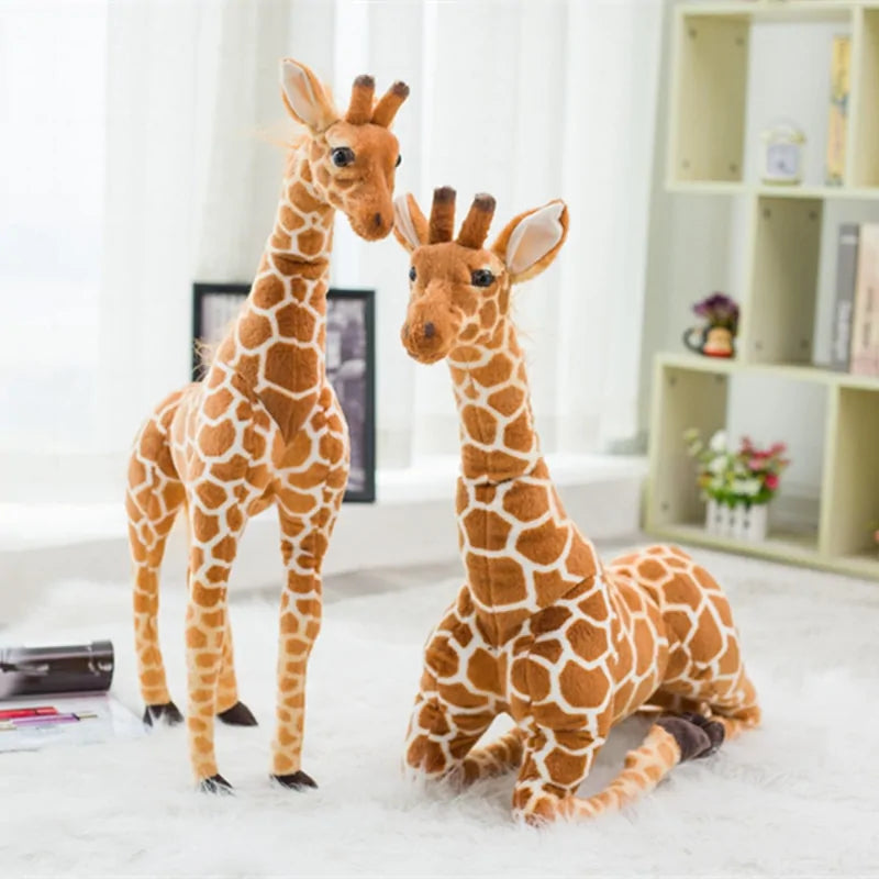 Baby Toys & Activity Equipment