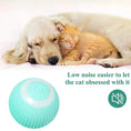 Load image into Gallery viewer, Electric Dogs Ball
