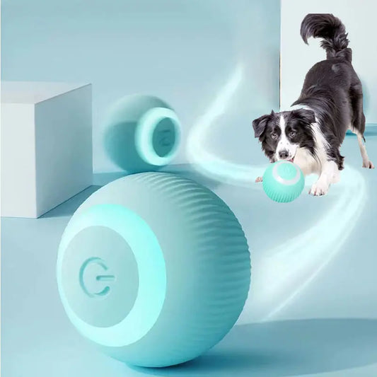 Electric Dogs Ball