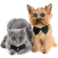 Load image into Gallery viewer, Pet Accessories Cat Glasses
