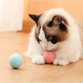 Load image into Gallery viewer, Electric Dogs Ball
