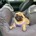 Load image into Gallery viewer, Pet Travel Bed
