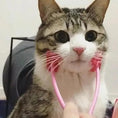 Load image into Gallery viewer, Pet Massager
